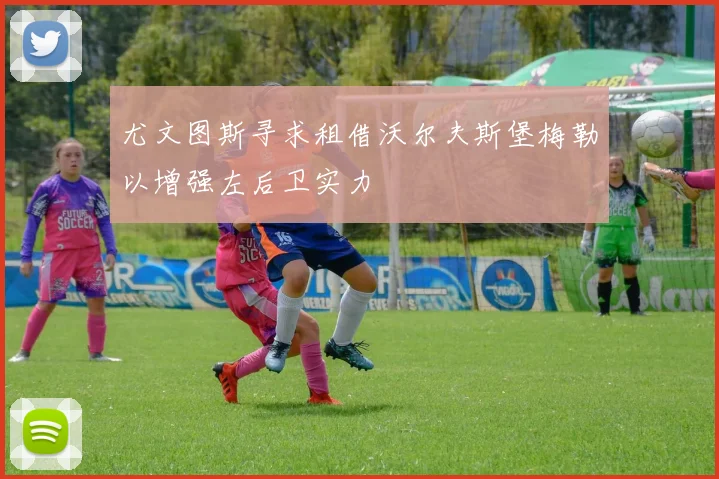 尤文图斯寻求租借沃尔夫斯堡梅勒以增强左后卫实力