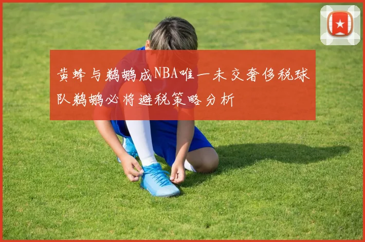 黄蜂与鹈鹕成NBA唯一未交奢侈税球队鹈鹕必将避税策略分析